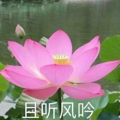 博鱼综合APP