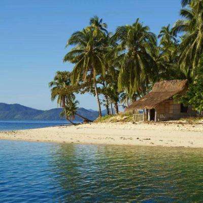 万博体育最新下载链接