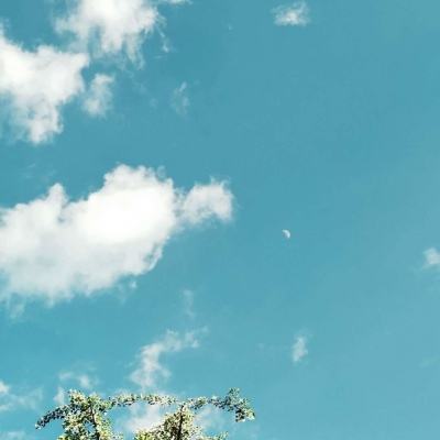 买球的app排行榜前十名推荐